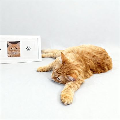 Paw Print – Lasting Memories of Your Pet