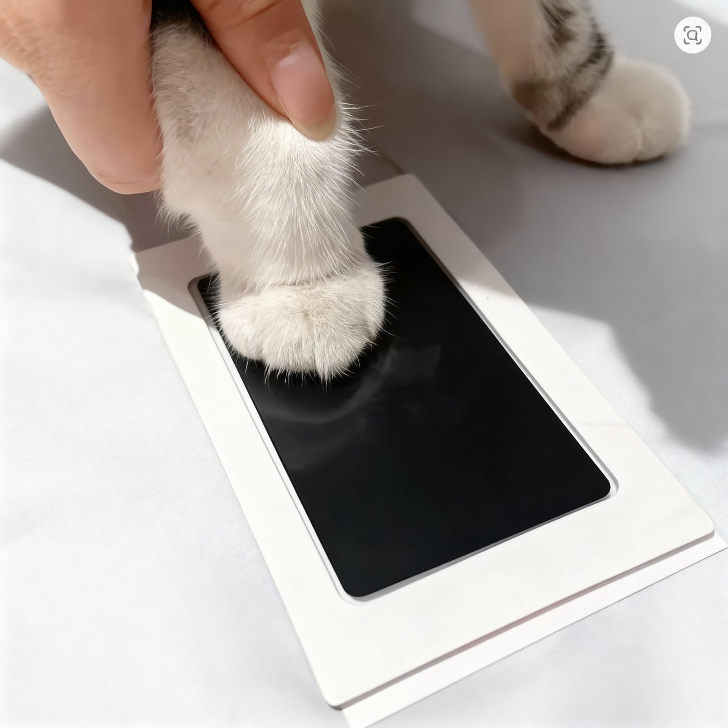 Paw Print – Lasting Memories of Your Pet