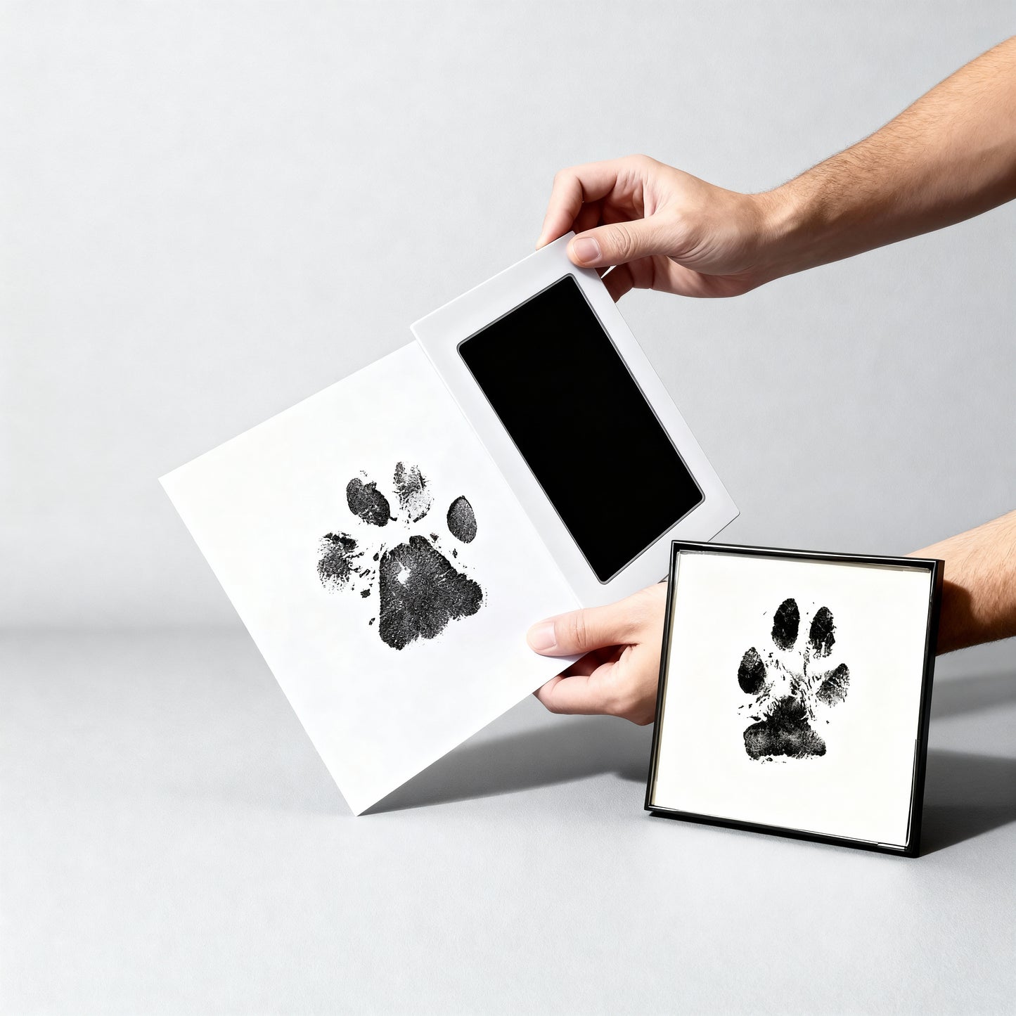 Paw Print – Lasting Memories of Your Pet